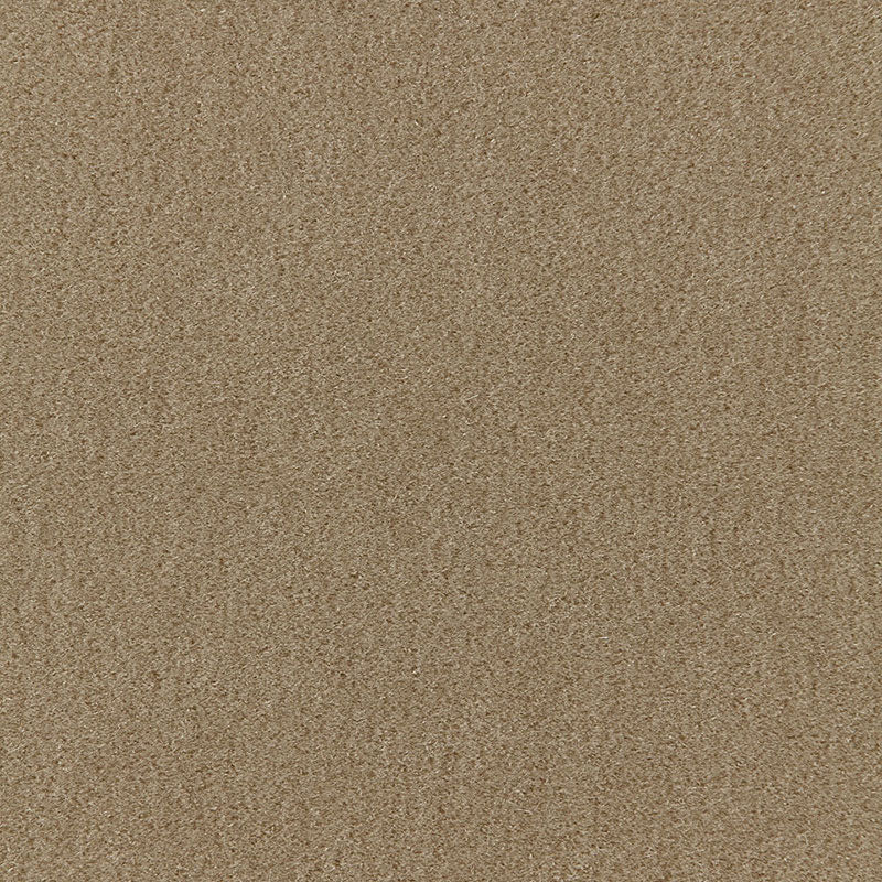 Schumacher | San Carlo Mohair Velvet fabric - 64887