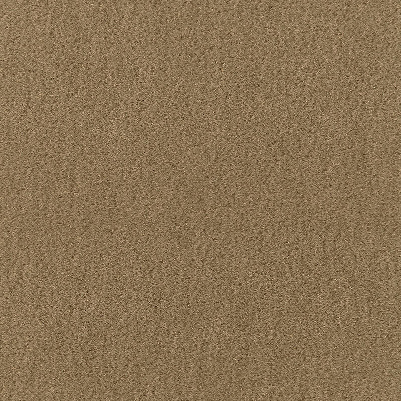 Schumacher | San Carlo Mohair Velvet fabric - 64895