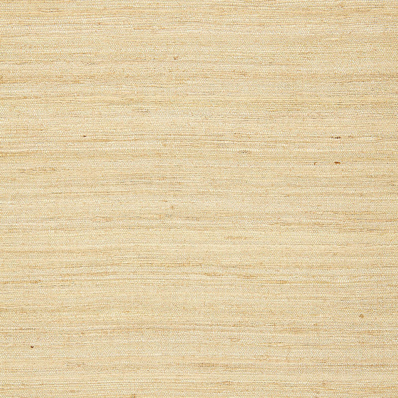 Schumacher | Chinon Silk Weave fabric - 65121