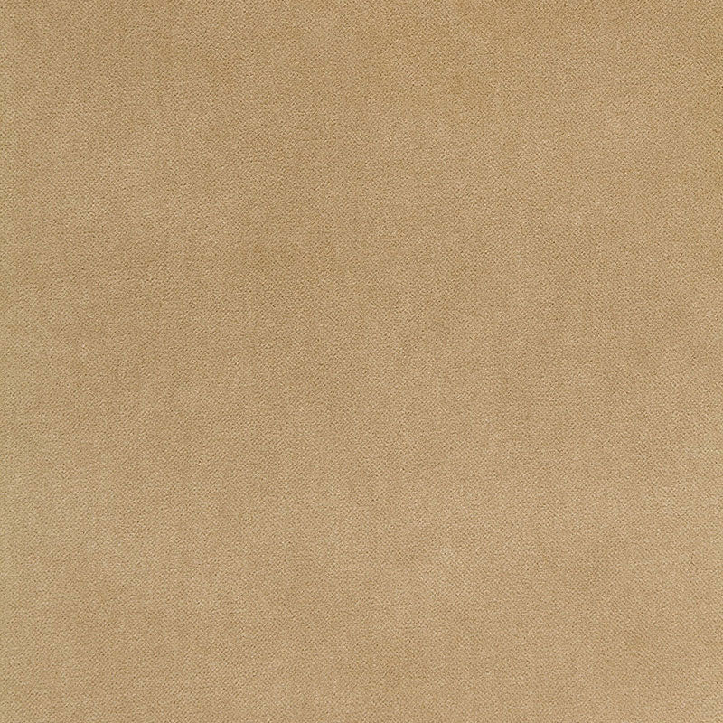 Schumacher | Bayeux Velvet fabric - 65311