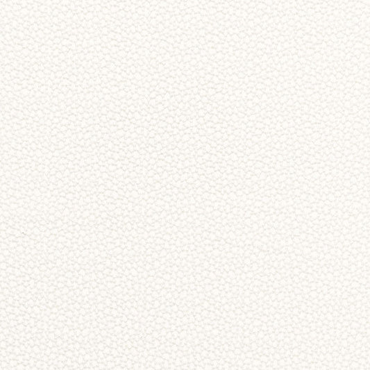 Schumacher | Rossini Sheer fabric - 67660