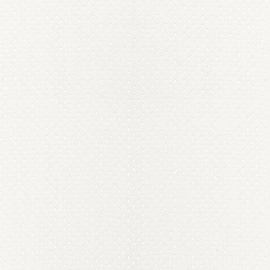 Schumacher | Donatello Sheer fabric - 67670