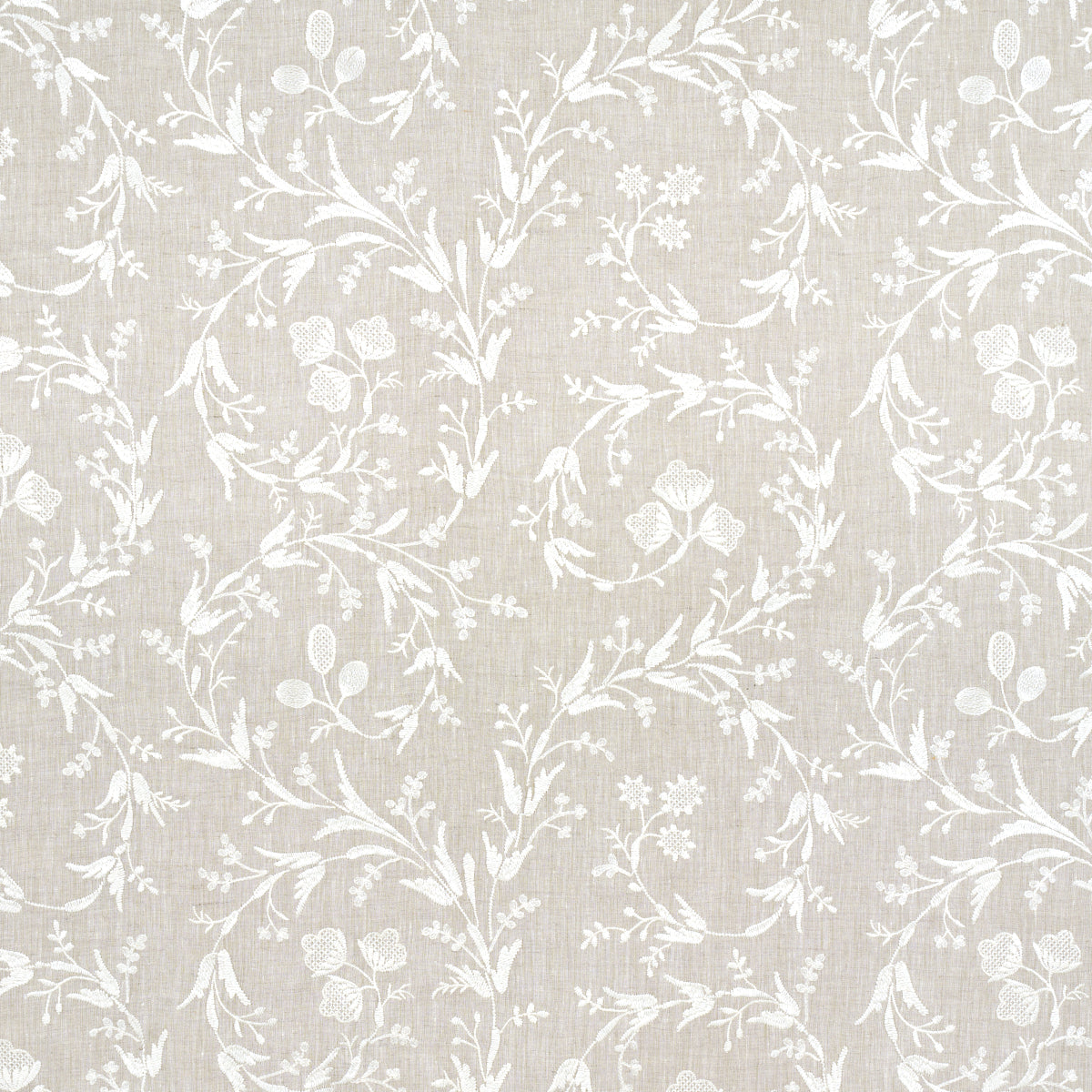 Schumacher | Fiorentina Embroidered Sheer fabric - 67821