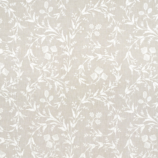 Schumacher | Fiorentina Embroidered Sheer fabric - 67821