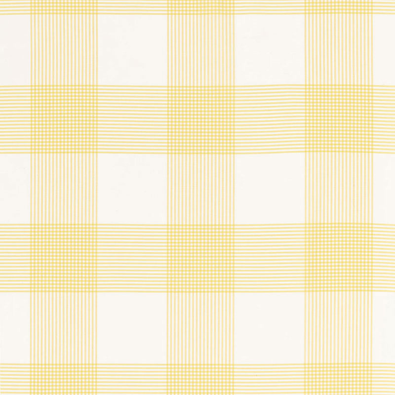 Schumacher | Antigua Plaid fabric - 68032