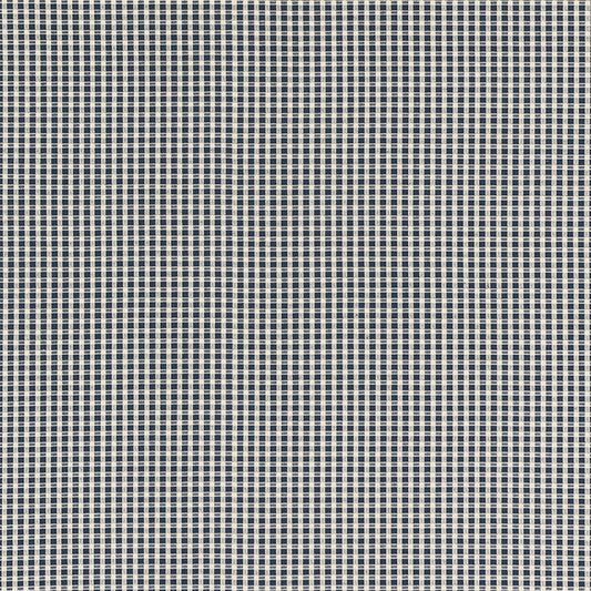 Schumacher | Aruba Check fabric - 68040
