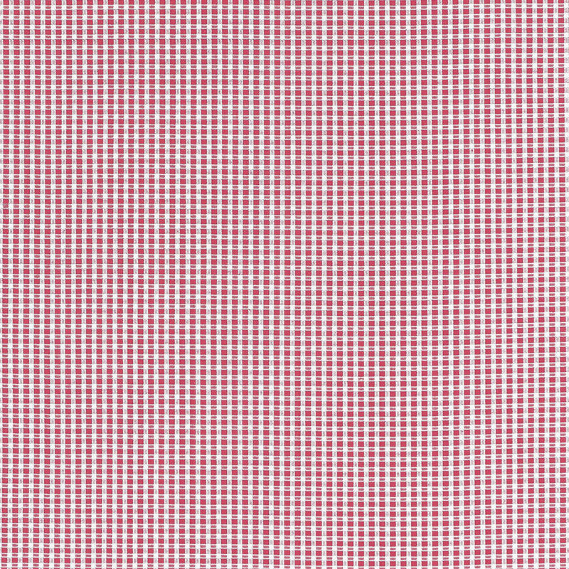 Schumacher | Aruba Check fabric - 68044