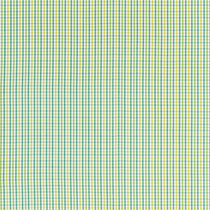Schumacher | Bahama Check fabric - 68050