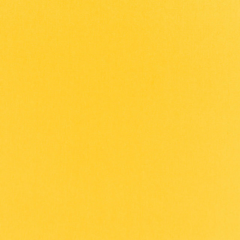 Schumacher | Sophia Velvet fabric - 68130