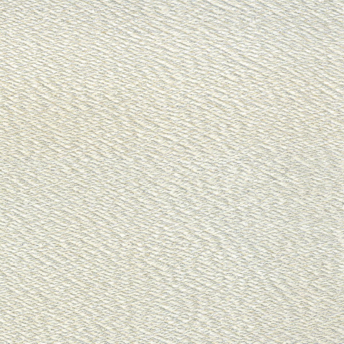 Rubelli Nomboli fabric - Argento