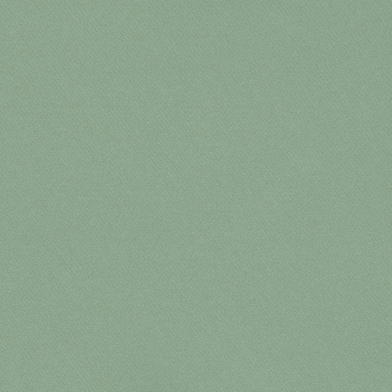 Schumacher | Blake Polished Cotton fabric - 69568