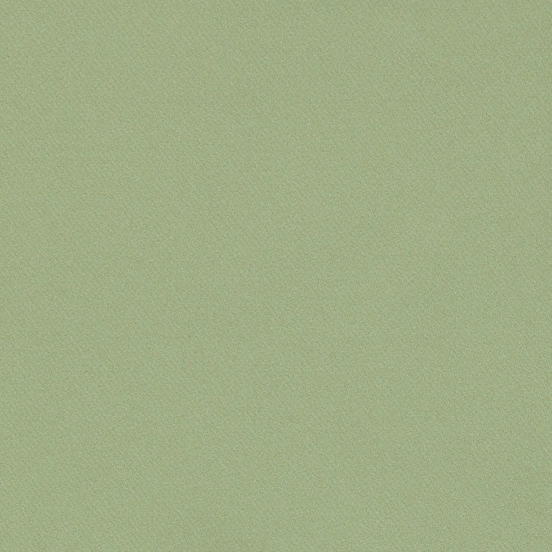Schumacher | Blake Polished Cotton fabric - 69591