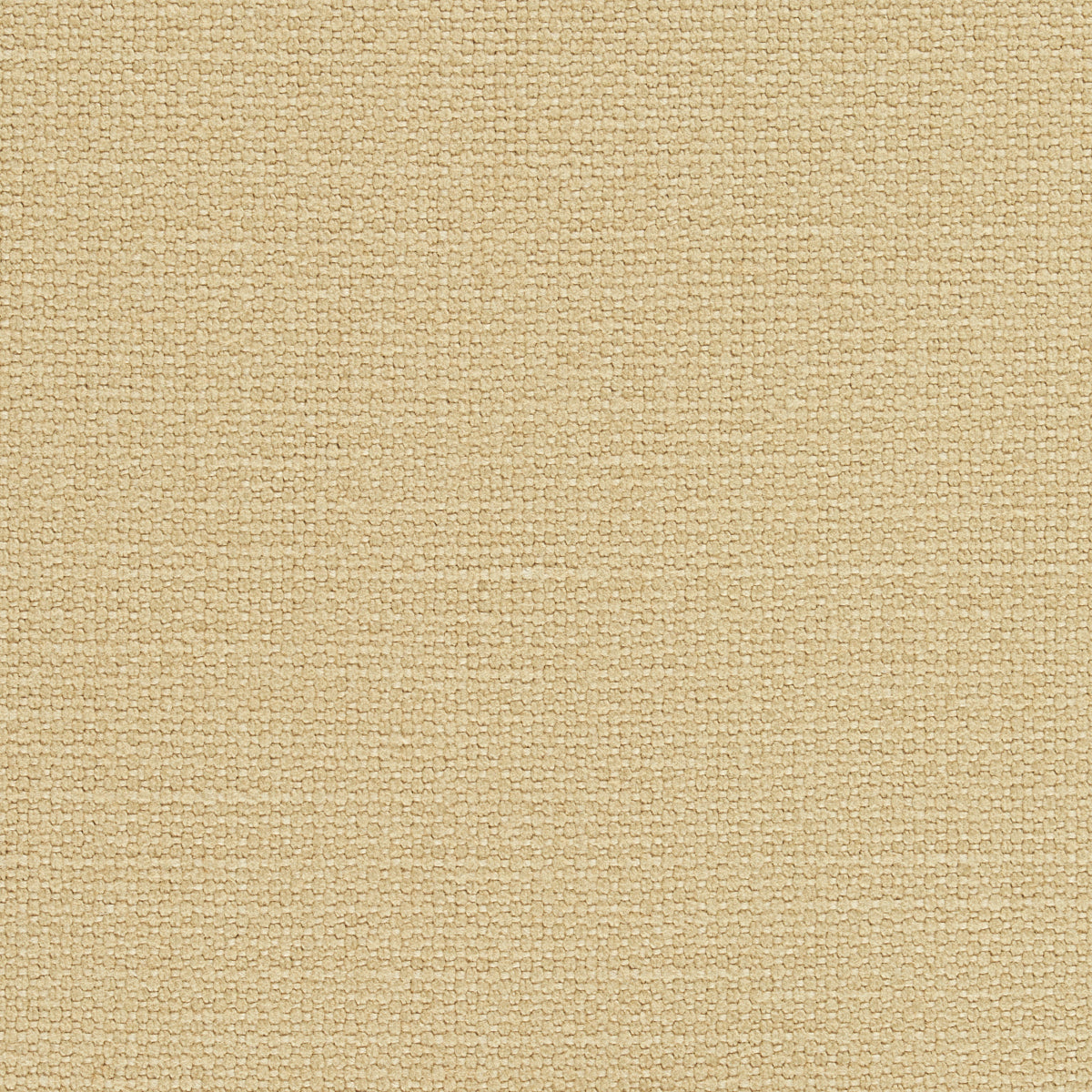 Schumacher | Langham High Performance Union fabric - 69616