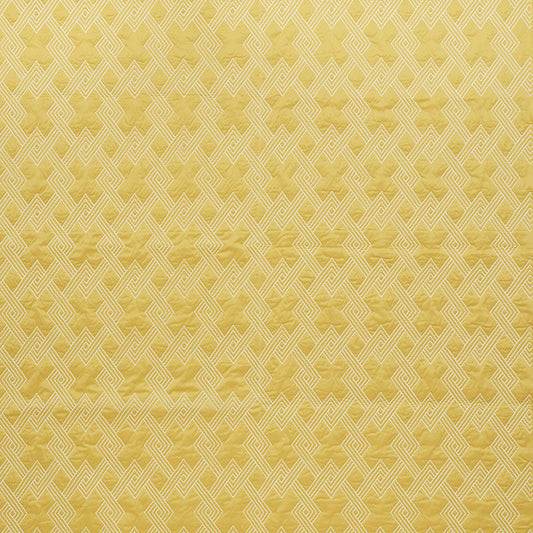 Schumacher | Hix fabric - 70140