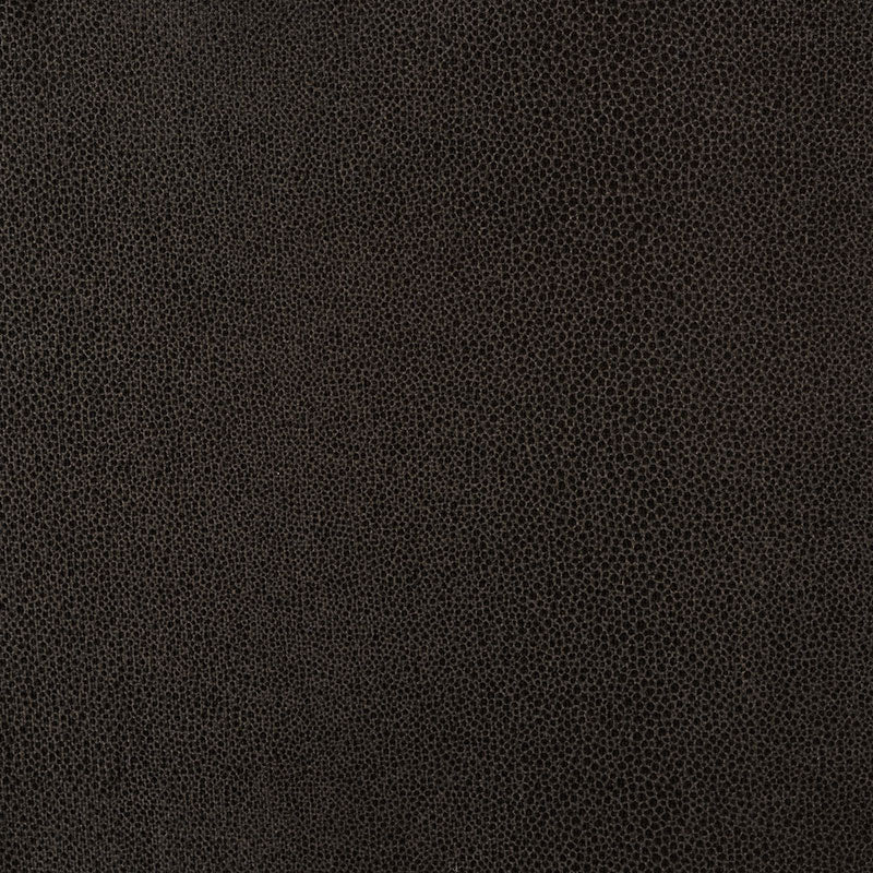 Schumacher | Gloss Shagreen fabric - 70381