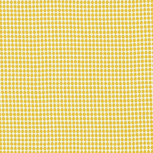 Schumacher | Zipster fabric - 70520