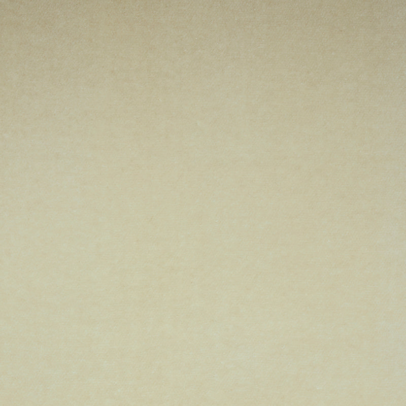 Schumacher | Rocky Performance Velvet fabric - 70578