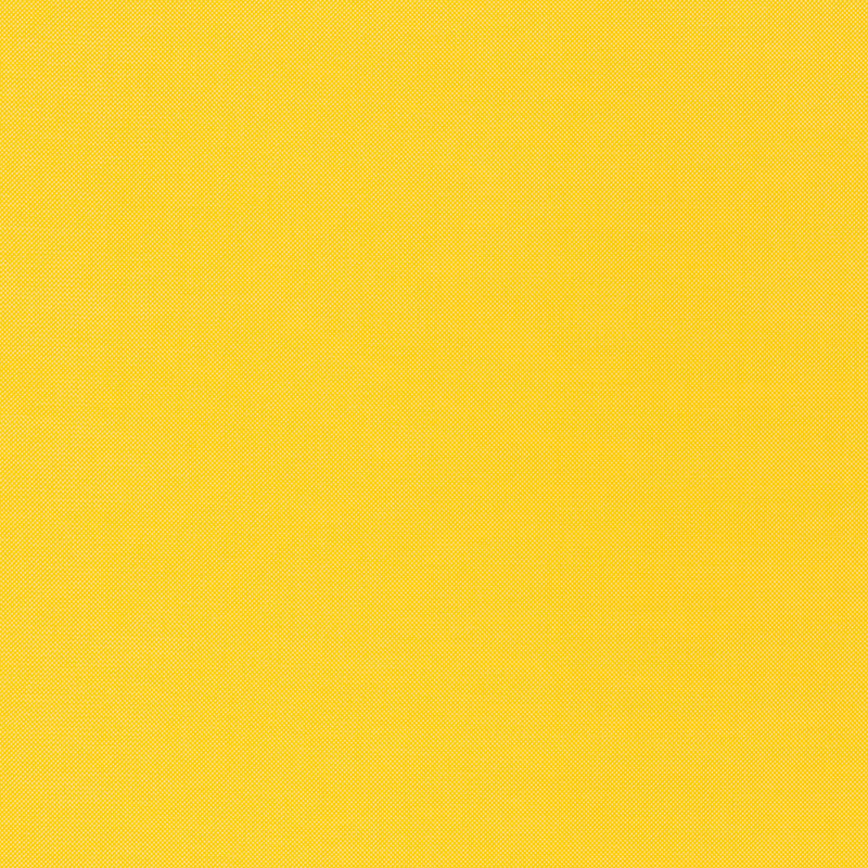 Schumacher | Mondello Indoor/Outdoor fabric - 71031
