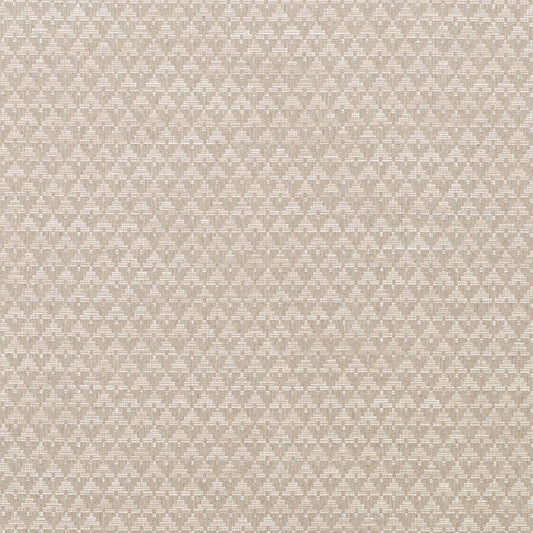 Schumacher | Evans fabric - 71180