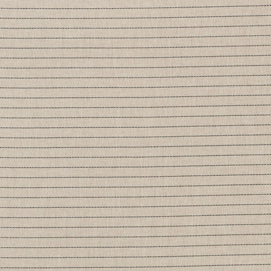 Schumacher | Manning Stripe Indoor/Outdoor fabric - 71810