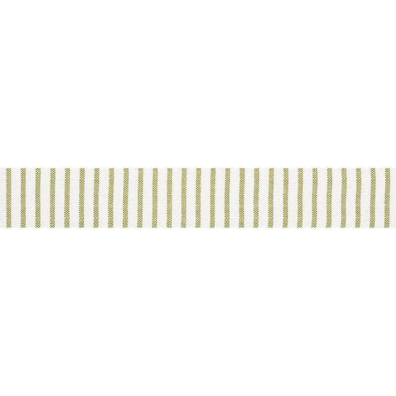 Schumacher | Salton Tape fabric - 72584