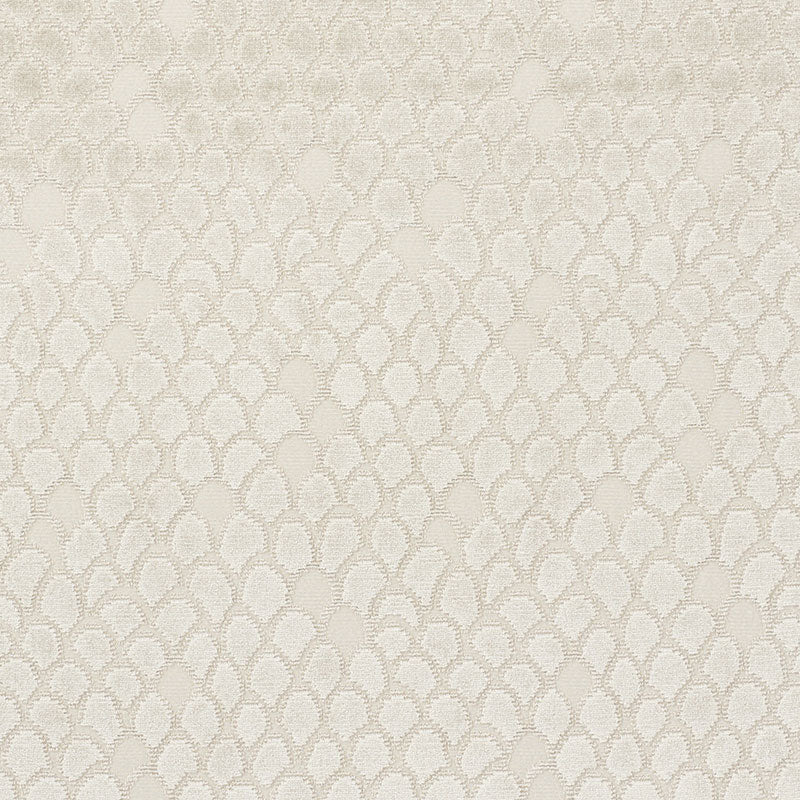 Schumacher | Esther Velvet fabric - 72771