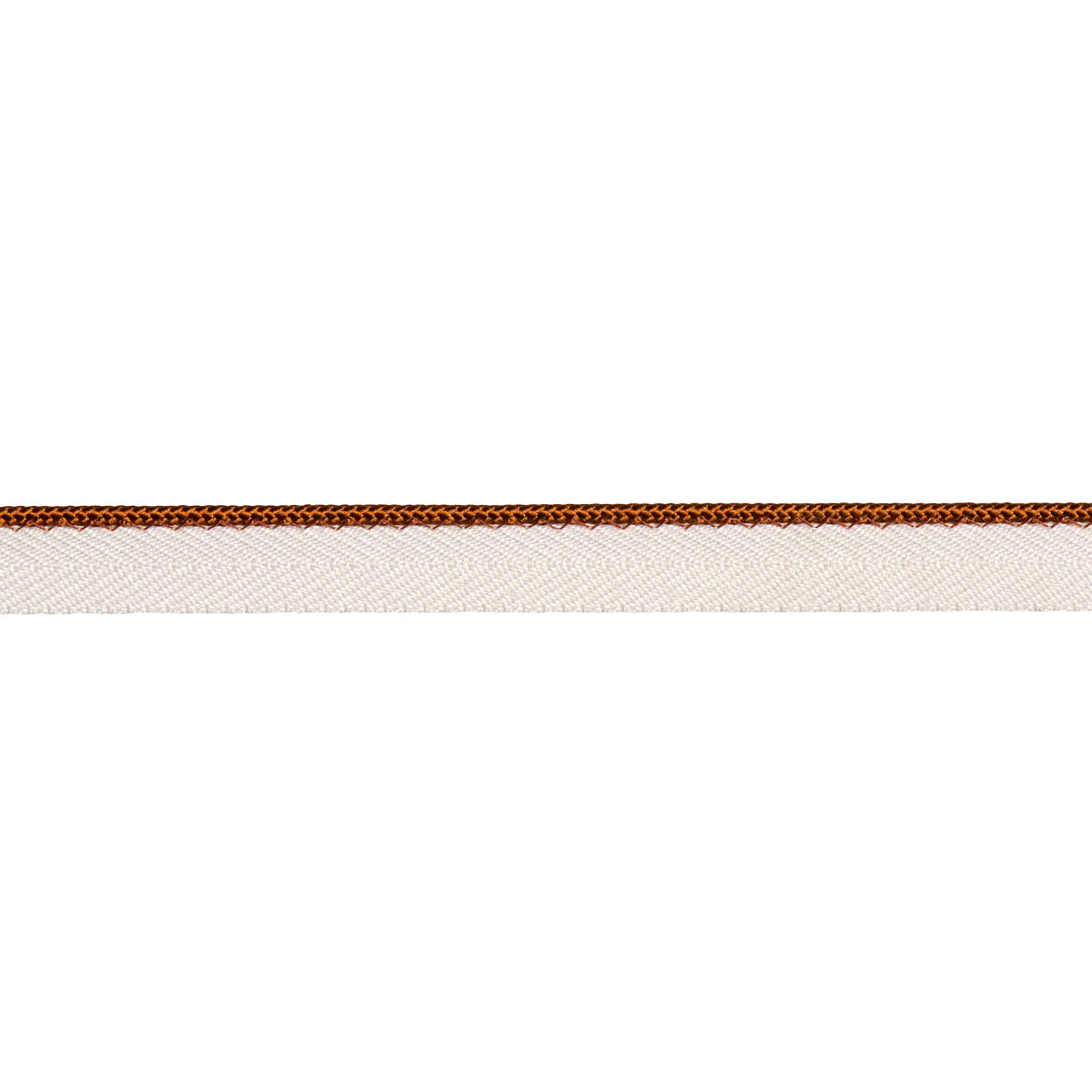 Schumacher | Gustave Silk Lip Cord Narrow fabric - 74538