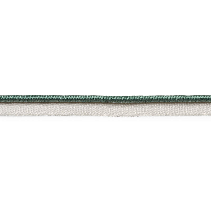 Schumacher | Gustave Silk Lip Cord Medium fabric - 74546