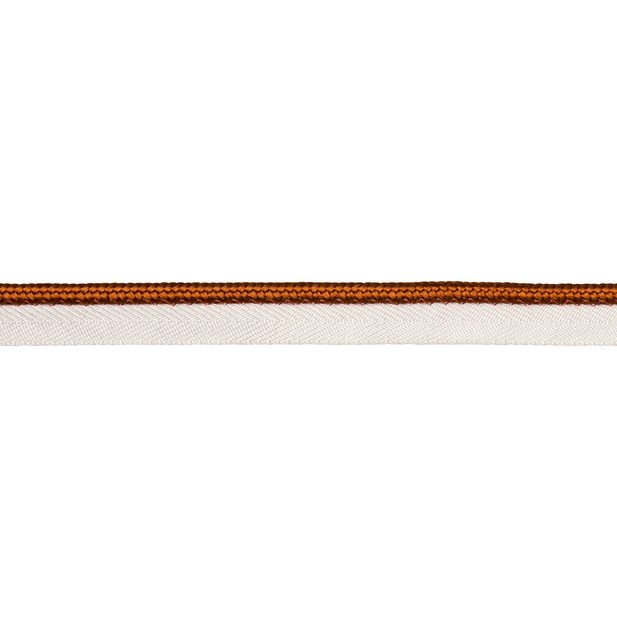 Schumacher | Gustave Silk Lip Cord Medium fabric - 74557