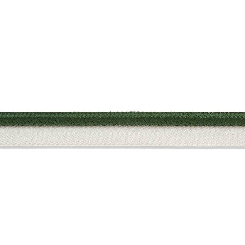 Schumacher | Gustave Silk Lip Cord Wide fabric - 74574