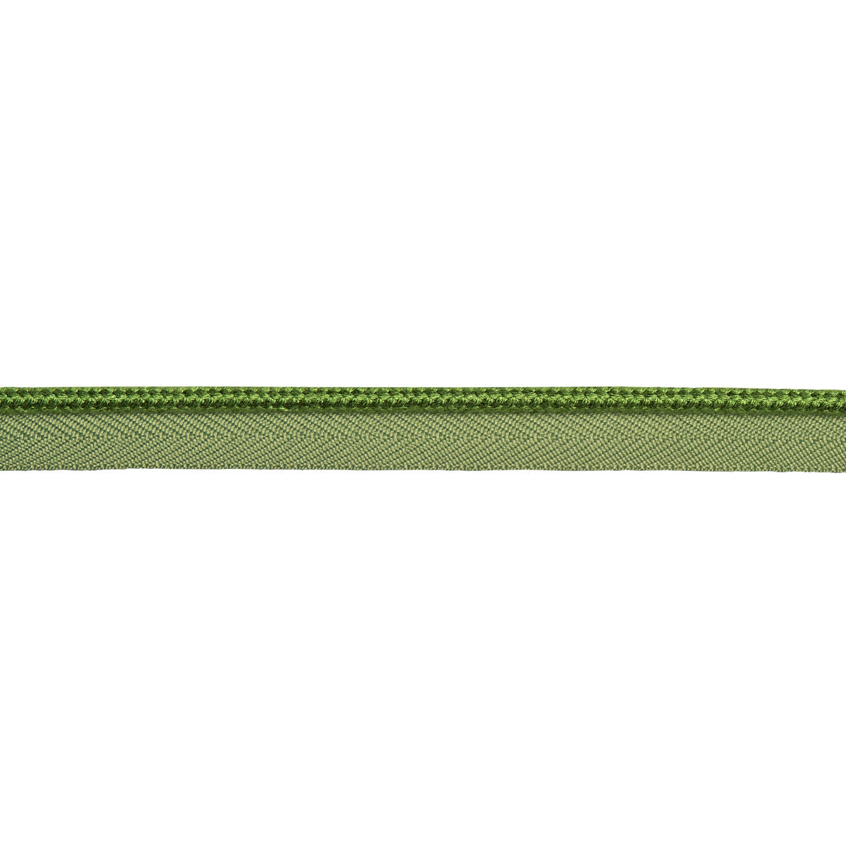 Schumacher | Cedric Cotton Lip Cord Medium fabric - 74787