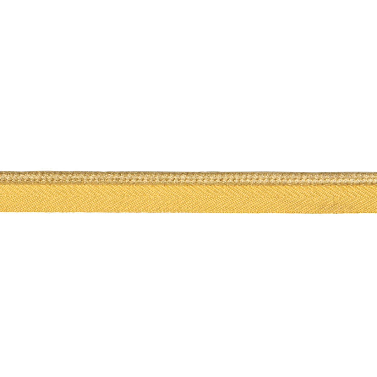 Schumacher | Cedric Cotton Lip Cord Medium fabric - 74788