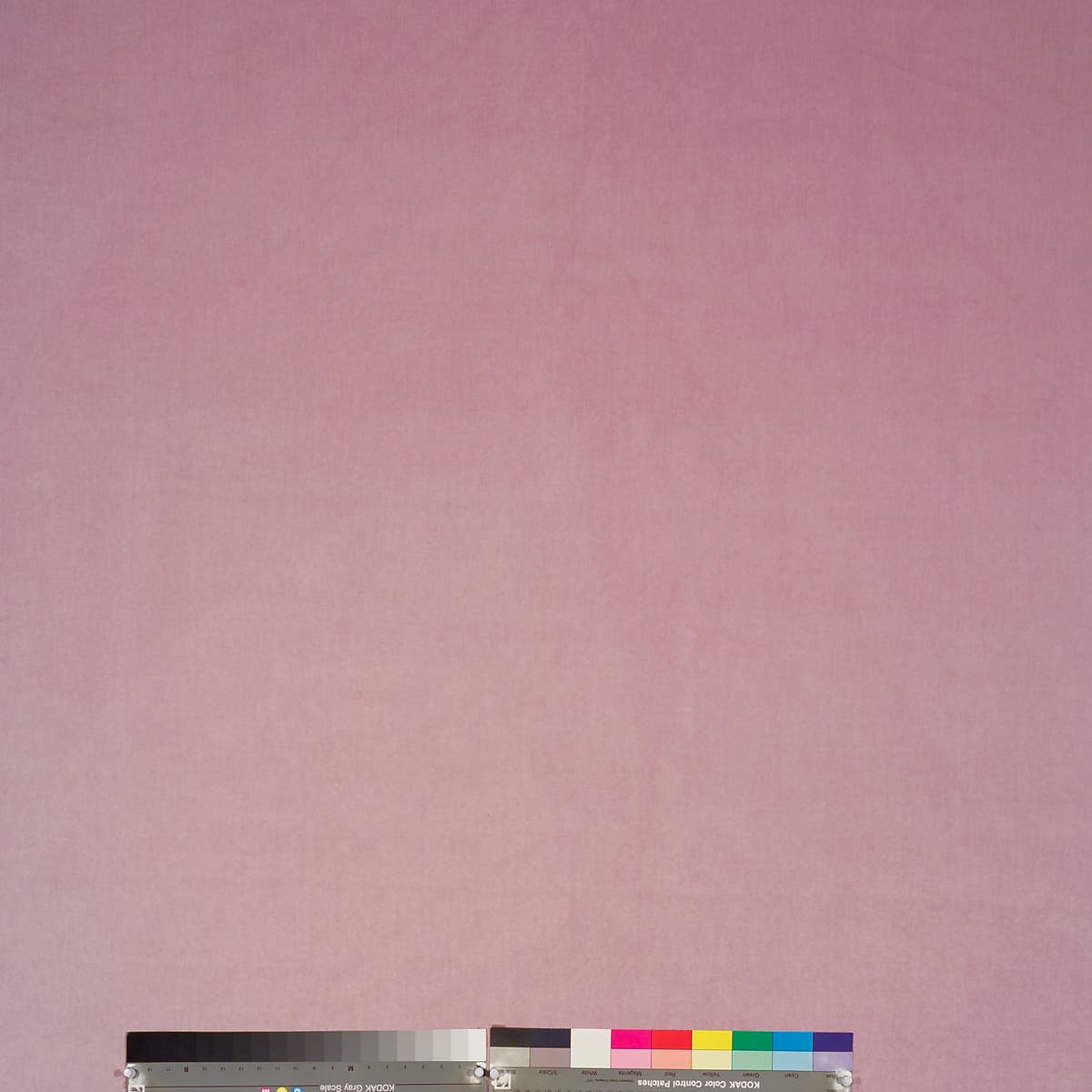 Rubelli Olimpia fabric - Pesco