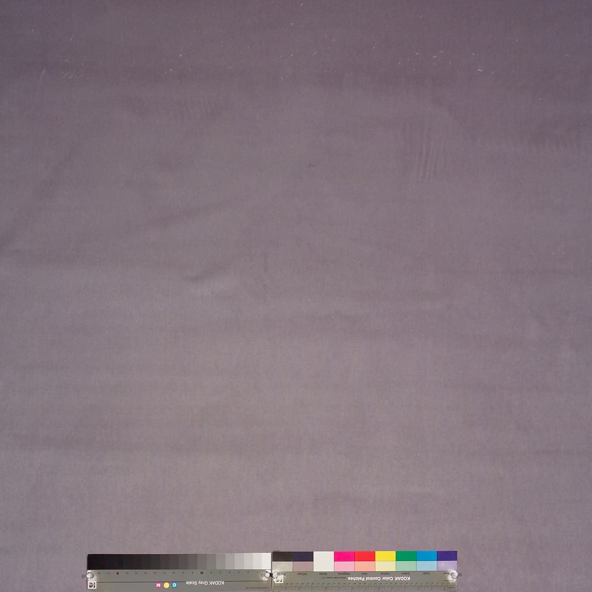 Rubelli Olimpia fabric - Glicine