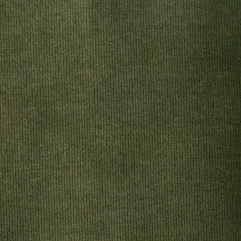 Rubelli Olimpia fabric - Muschio