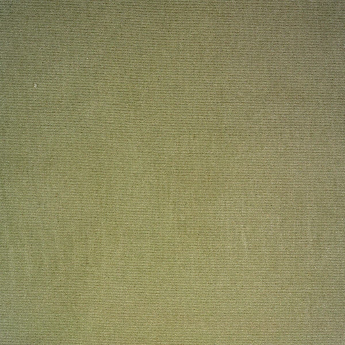 Rubelli Olimpia fabric - Salvia