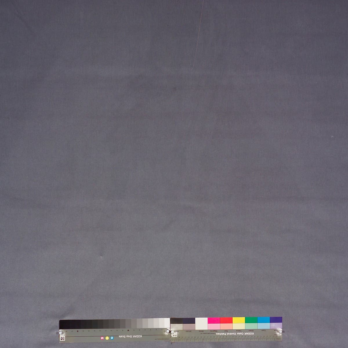 Rubelli Olimpia fabric - Iris