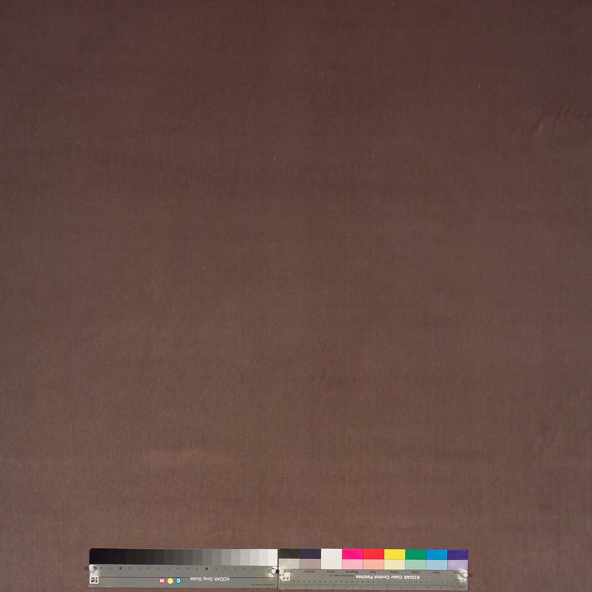 Rubelli Olimpia fabric - Tortora