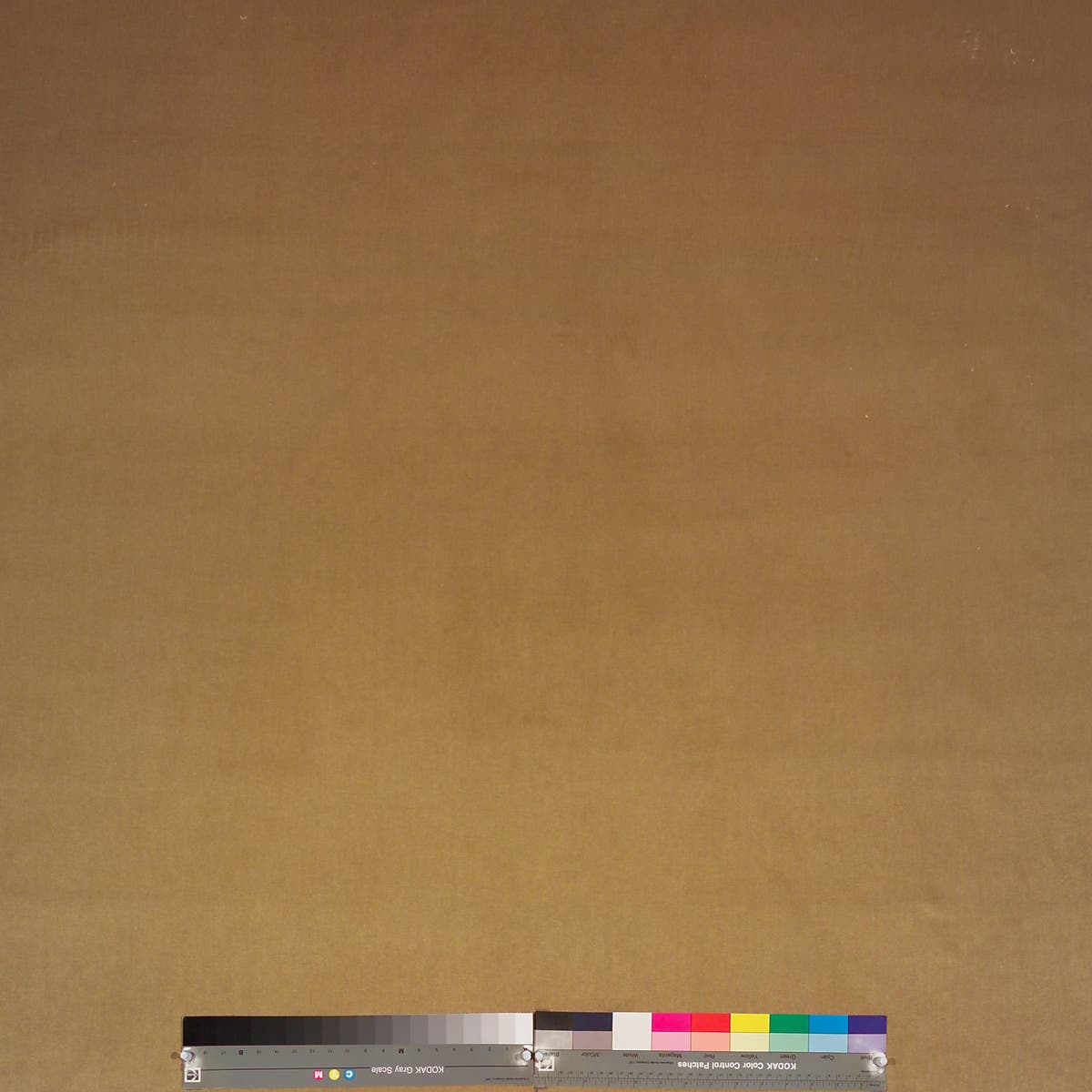Rubelli Olimpia fabric - Oro