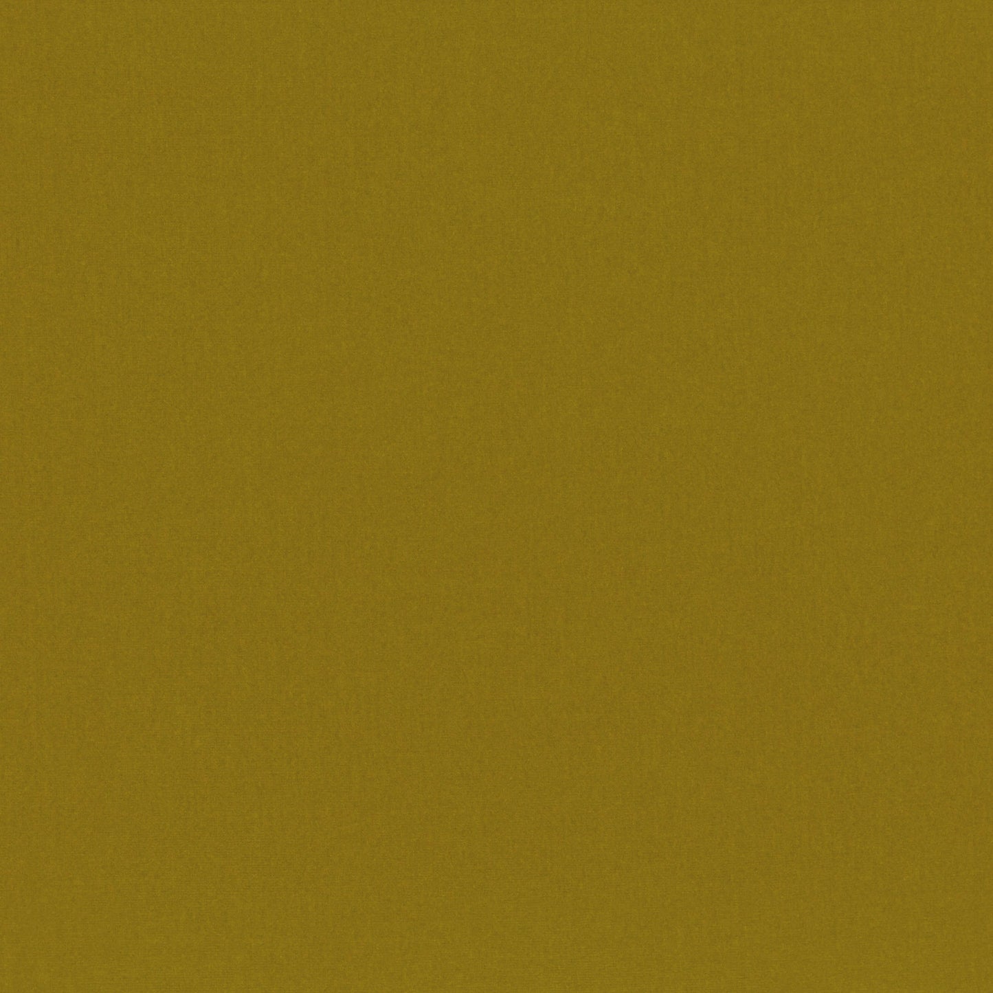 Romo | Forenza – Olivine