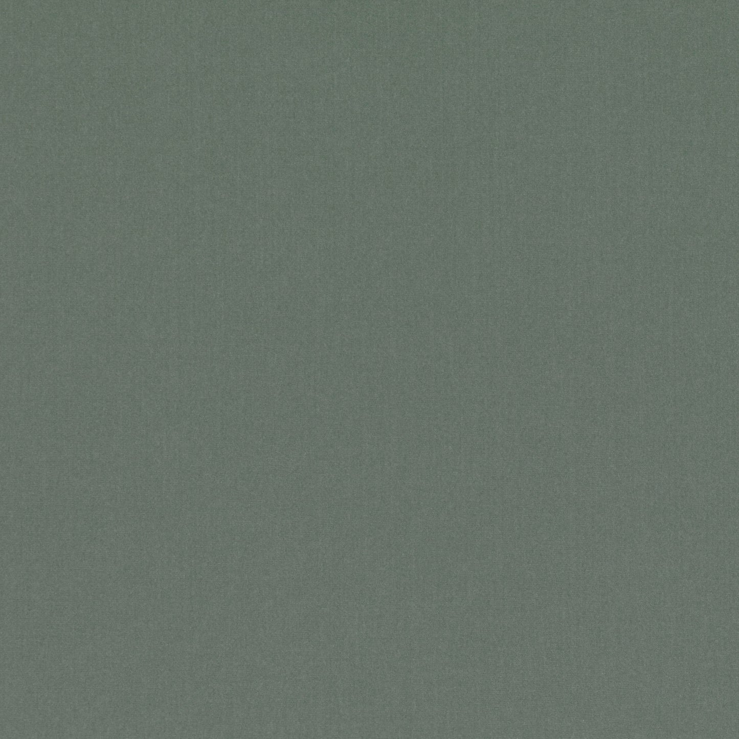 Romo | Forenza – Agave