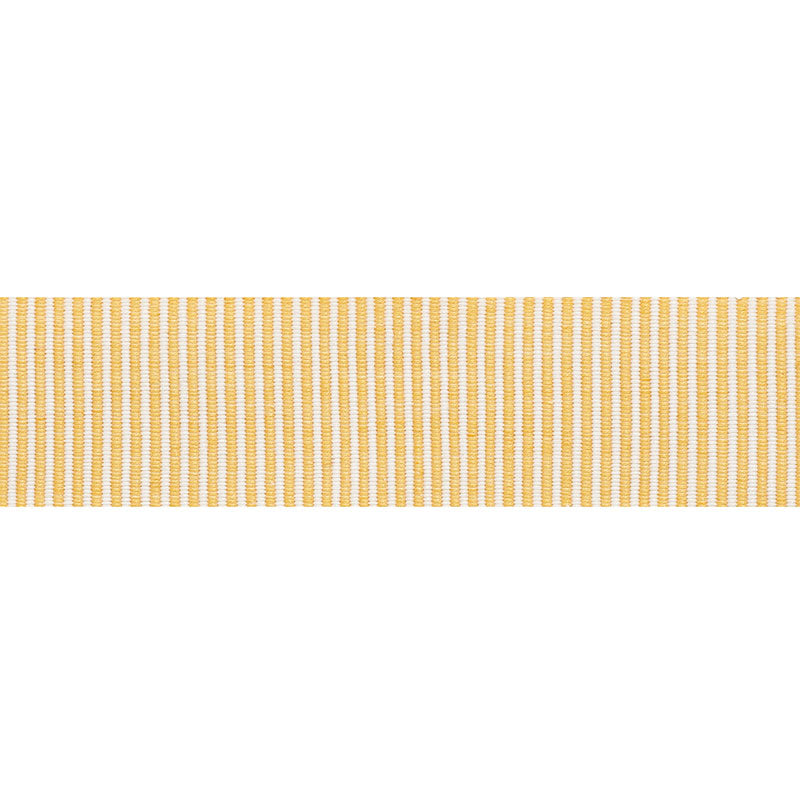 Schumacher | Knox Tape fabric - 75581