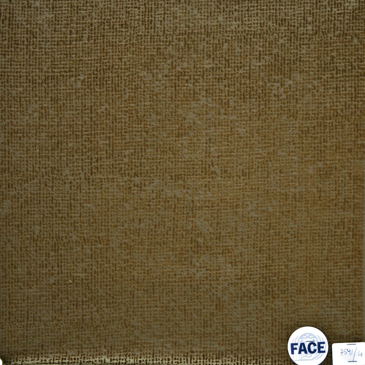 Rubelli Superwong fabric - Muschio