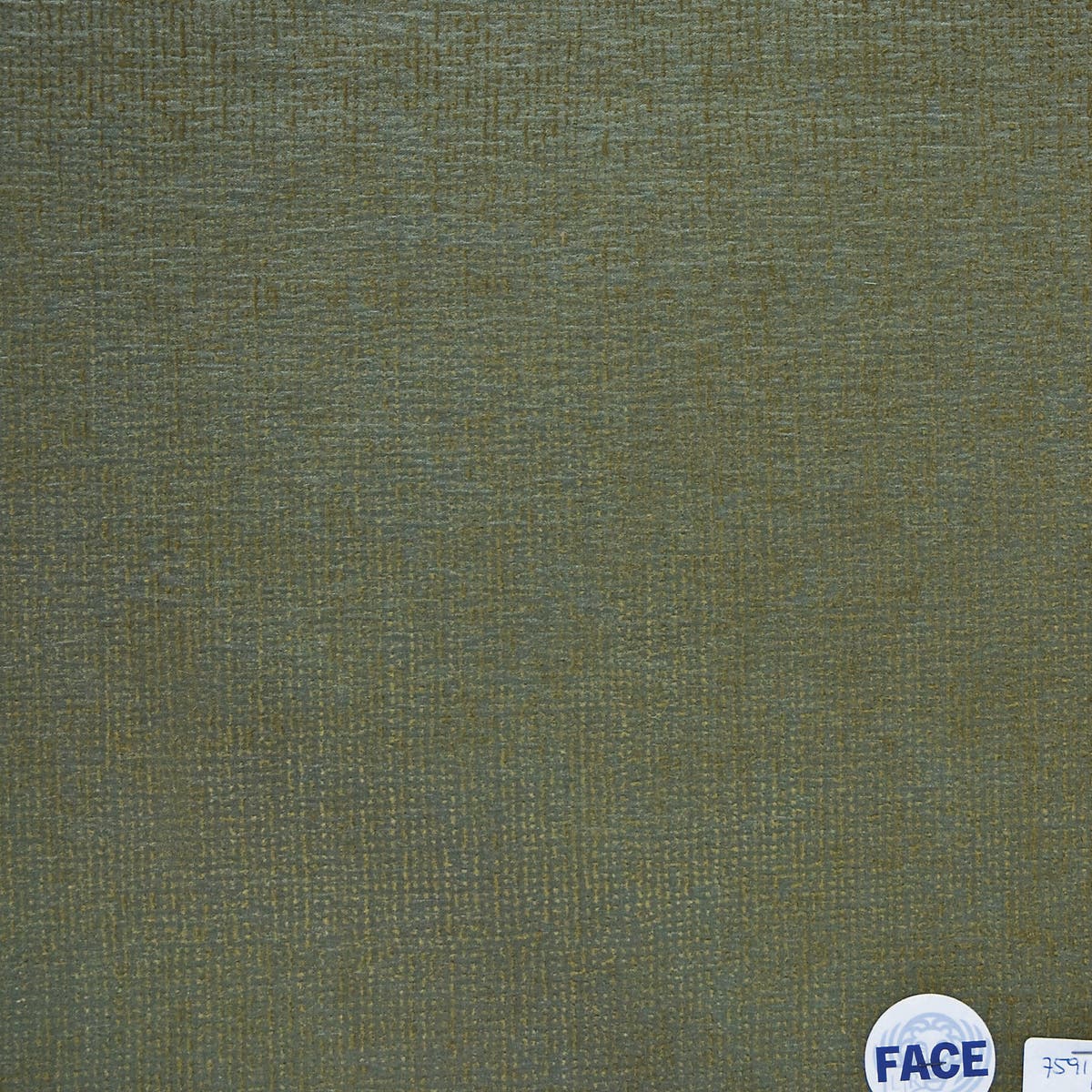 Rubelli Superwong fabric - Giada