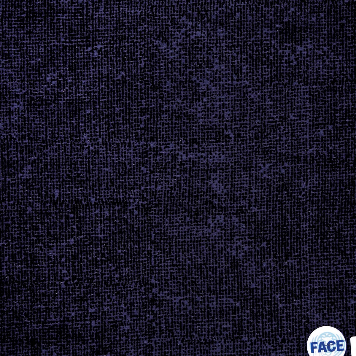 Rubelli Superwong fabric - Copiativo