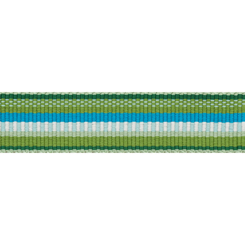 Schumacher | Primavera Tape Narrow fabric - 75980