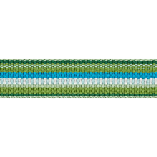Schumacher | Primavera Tape Narrow fabric - 75980