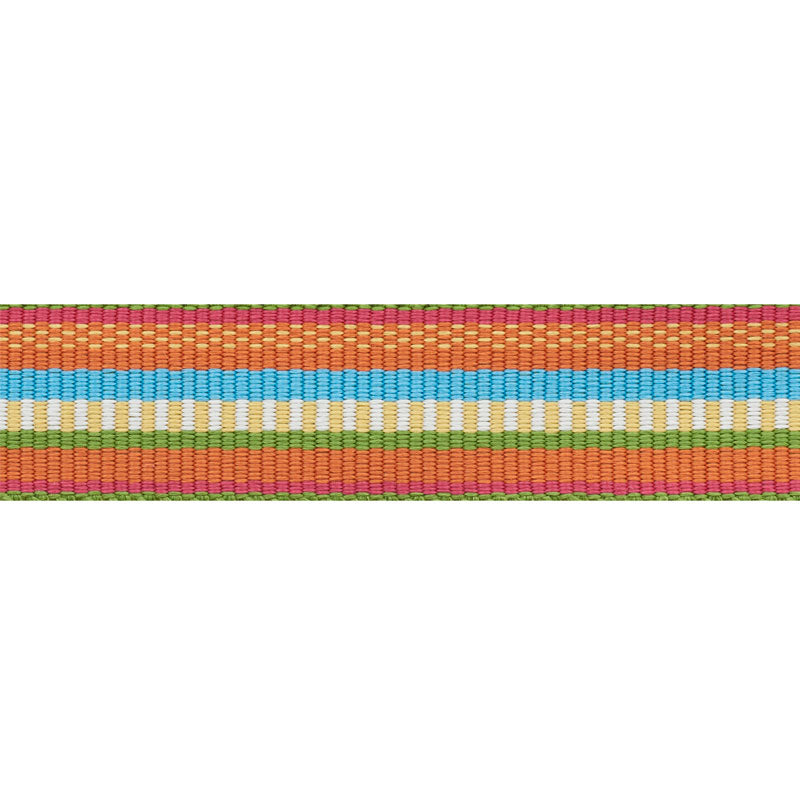 Schumacher | Primavera Tape Narrow fabric - 75982