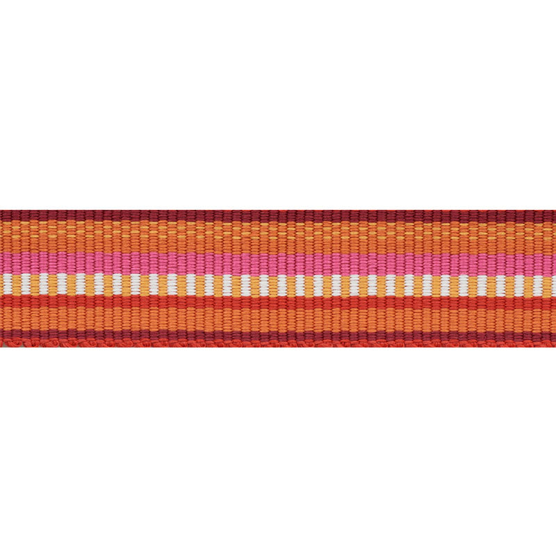 Schumacher | Primavera Tape Narrow fabric - 75983