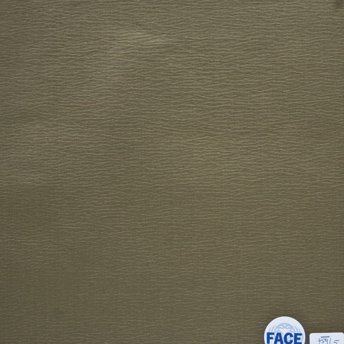Rubelli Wong fabric - Muschio